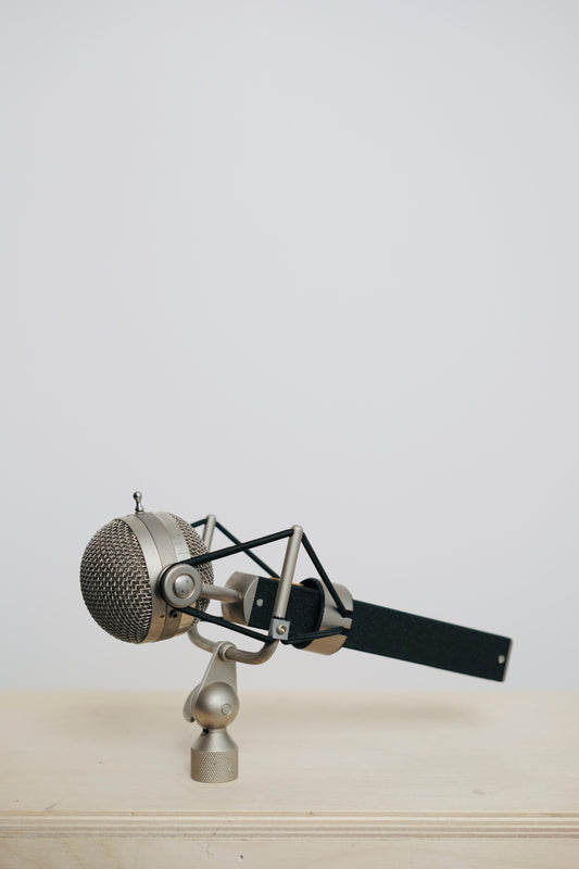 Blue Dragonfly Microphone